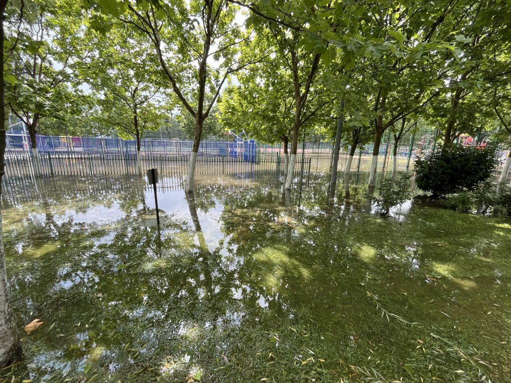 Sursa foto: Natalie Project